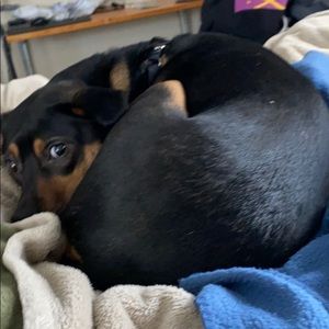 Meet your Posher, Beth